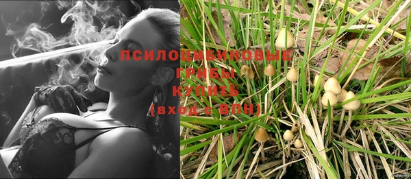прущие крисы Алзамай