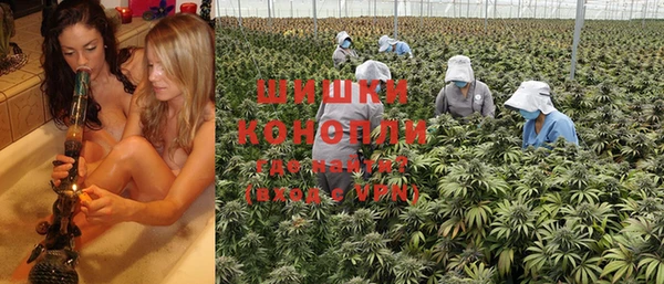 прущие крисы Алзамай
