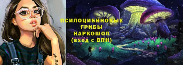 прущий лед Алексин
