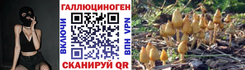 Псилоцибиновые грибы Magic Shrooms  как найти наркотики  гидра маркетплейс  Тогучин 